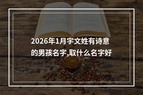 2026年1月宇文姓有诗意的男孩名字,取什么名字好
