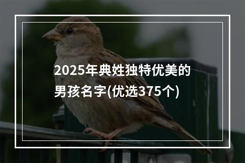 2025年典姓独特优美的男孩名字(优选375个)