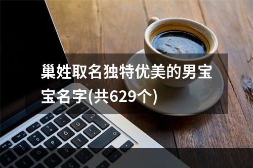 巢姓取名独特优美的男宝宝名字(共629个)