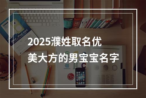 2025濮姓取名优美大方的男宝宝名字