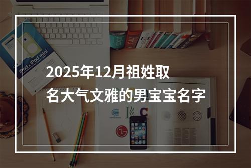 2025年12月祖姓取名大气文雅的男宝宝名字