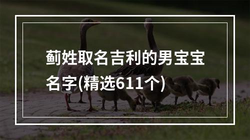 蓟姓取名吉利的男宝宝名字(精选611个)
