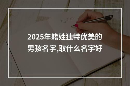 2025年籍姓独特优美的男孩名字,取什么名字好