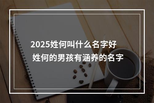 2025姓何叫什么名字好 姓何的男孩有涵养的名字