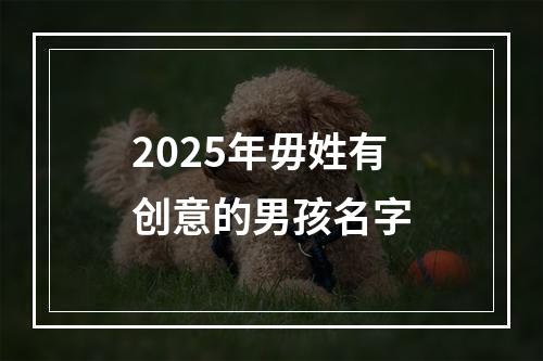 2025年毋姓有创意的男孩名字
