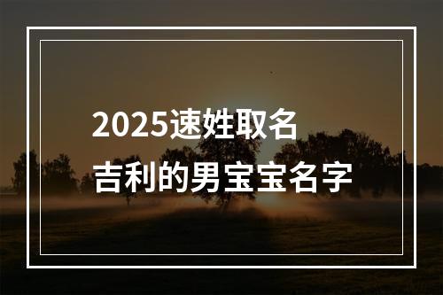 2025速姓取名吉利的男宝宝名字