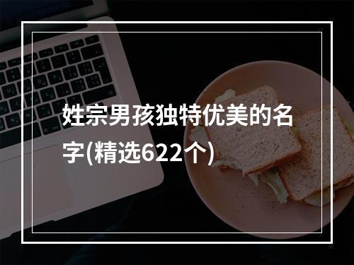 姓宗男孩独特优美的名字(精选622个)