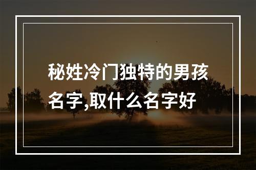 秘姓冷门独特的男孩名字,取什么名字好