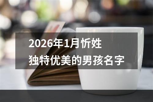 2026年1月忻姓独特优美的男孩名字