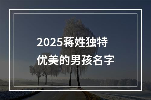 2025蒋姓独特优美的男孩名字