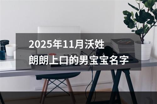 2025年11月沃姓朗朗上口的男宝宝名字