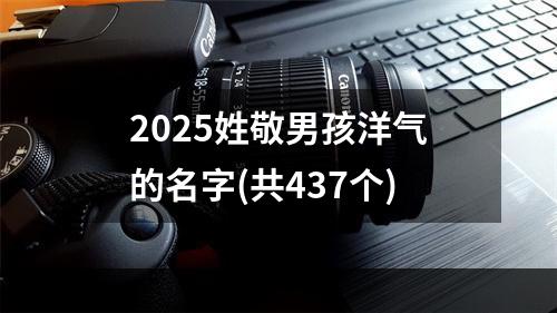 2025姓敬男孩洋气的名字(共437个)