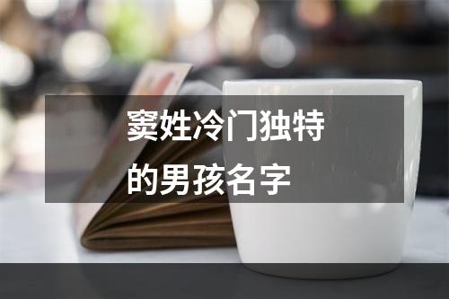 窦姓冷门独特的男孩名字