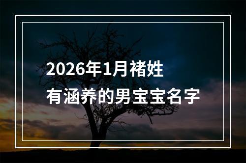 2026年1月褚姓有涵养的男宝宝名字
