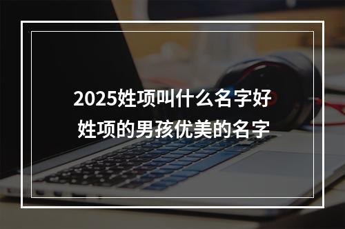 2025姓项叫什么名字好 姓项的男孩优美的名字