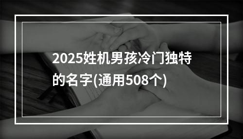 2025姓机男孩冷门独特的名字(通用508个)