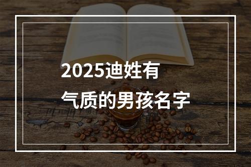 2025迪姓有气质的男孩名字