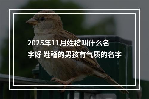 2025年11月姓稽叫什么名字好 姓稽的男孩有气质的名字