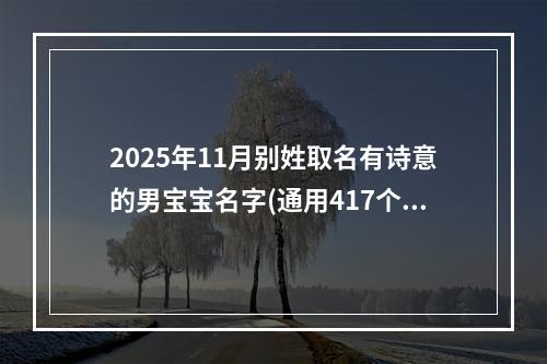 2025年11月别姓取名有诗意的男宝宝名字(通用417个)