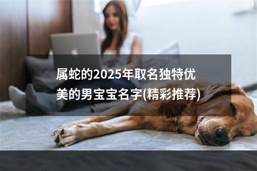 属蛇的2025年取名独特优美的男宝宝名字(精彩推荐)