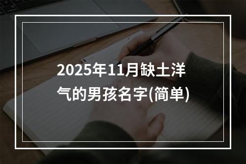 2025年11月缺土洋气的男孩名字(简单)