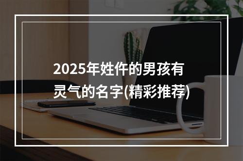 2025年姓仵的男孩有灵气的名字(精彩推荐)