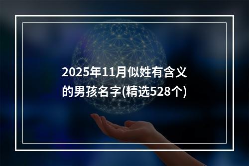 2025年11月似姓有含义的男孩名字(精选528个)