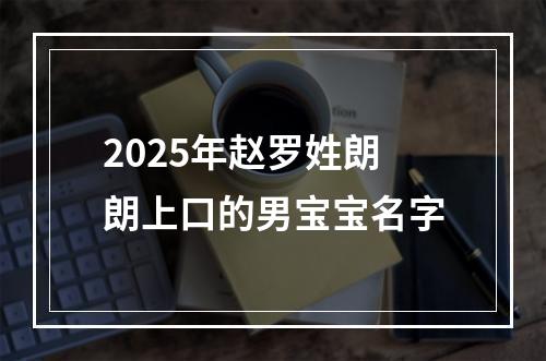 2025年赵罗姓朗朗上口的男宝宝名字