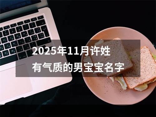 2025年11月许姓有气质的男宝宝名字