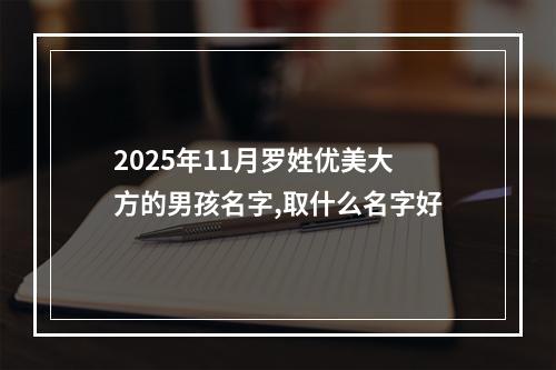 2025年11月罗姓优美大方的男孩名字,取什么名字好