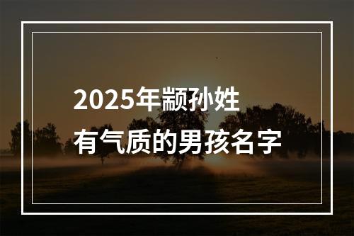 2025年颛孙姓有气质的男孩名字