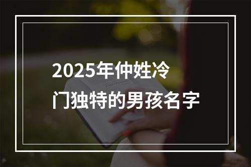 2025年仲姓冷门独特的男孩名字