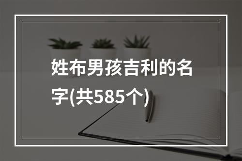 姓布男孩吉利的名字(共585个)