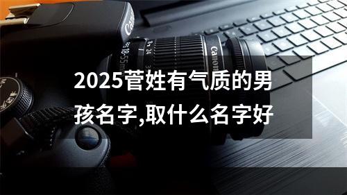 2025菅姓有气质的男孩名字,取什么名字好