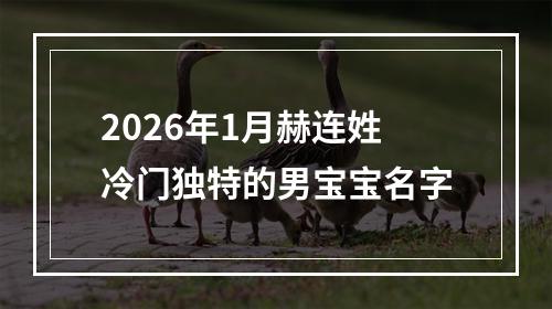 2026年1月赫连姓冷门独特的男宝宝名字