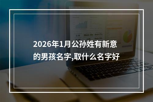 2026年1月公孙姓有新意的男孩名字,取什么名字好