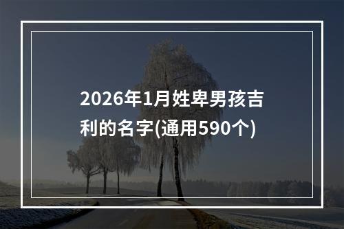 2026年1月姓卑男孩吉利的名字(通用590个)