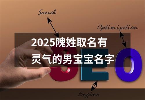 2025隗姓取名有灵气的男宝宝名字