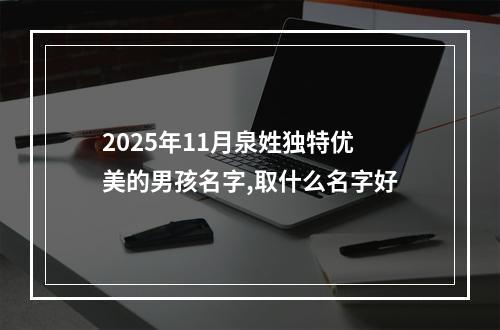 2025年11月泉姓独特优美的男孩名字,取什么名字好