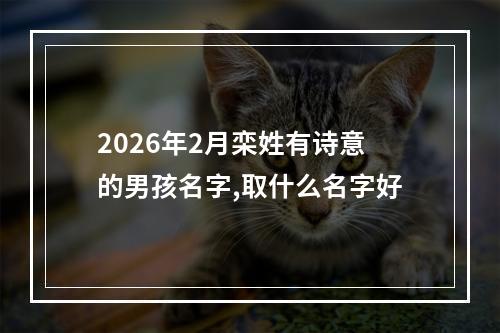 2026年2月栾姓有诗意的男孩名字,取什么名字好