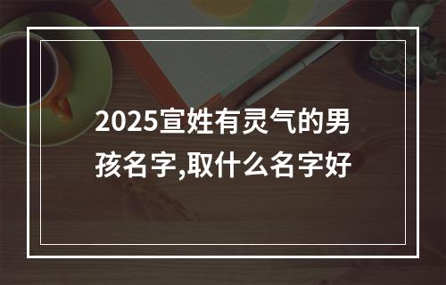 2025宣姓有灵气的男孩名字,取什么名字好