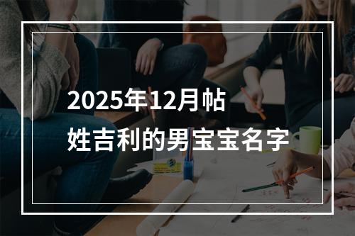 2025年12月帖姓吉利的男宝宝名字