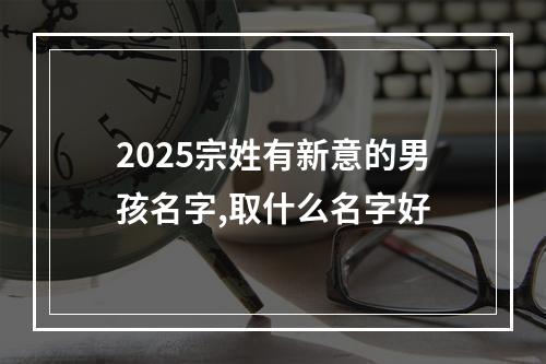 2025宗姓有新意的男孩名字,取什么名字好