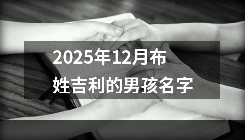 2025年12月布姓吉利的男孩名字
