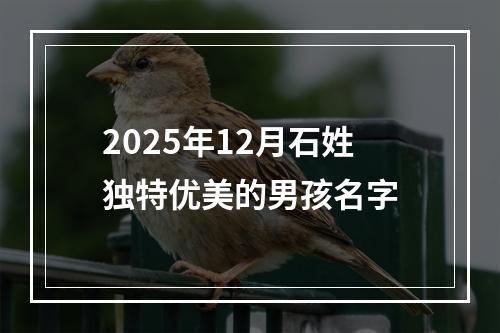 2025年12月石姓独特优美的男孩名字