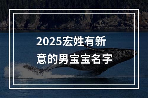 2025宏姓有新意的男宝宝名字
