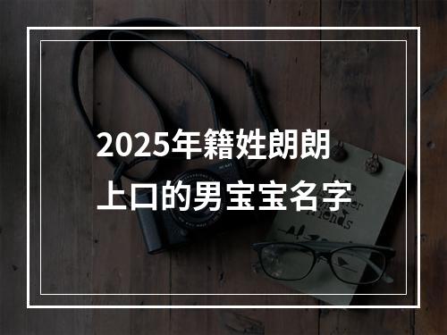 2025年籍姓朗朗上口的男宝宝名字