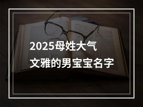 2025母姓大气文雅的男宝宝名字