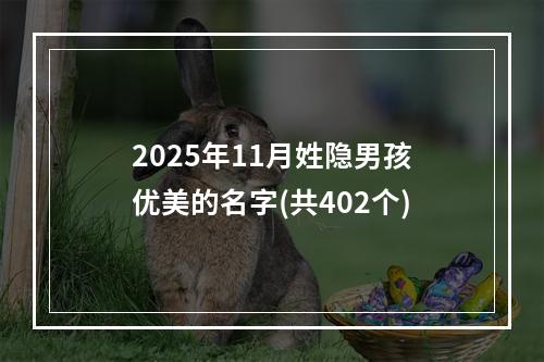 2025年11月姓隐男孩优美的名字(共402个)