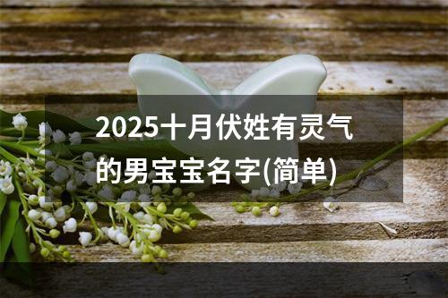 2025十月伏姓有灵气的男宝宝名字(简单)